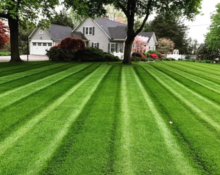 Thurston's Landscaping Project